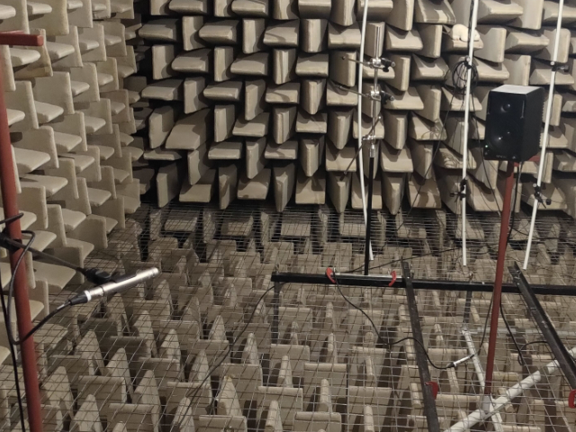 Precision Analysis in Anechoic Conditions